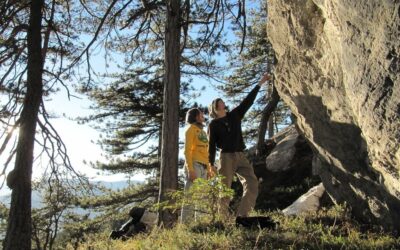 Quels sont les bienfaits physiques de la pratique régulière de l&rsquo;escalade ?