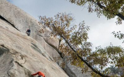 Où faire de l&rsquo;escalade à Fontainebleau ?