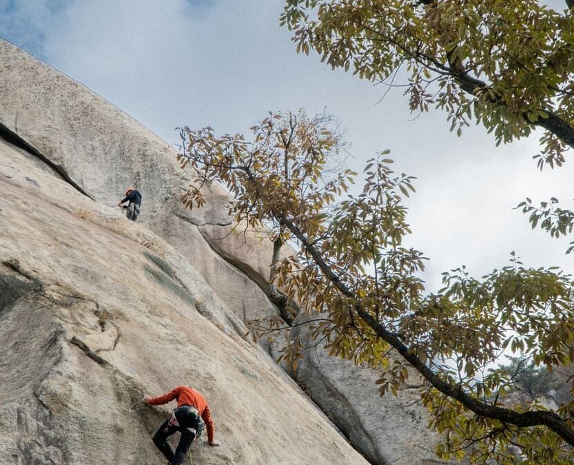 Où faire de l'escalade à Fontainebleau